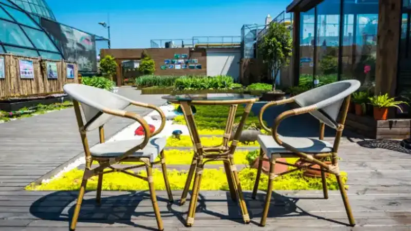 MyGardenAndPatio.com: The Ultimate Guide to Stylish Outdoor Living