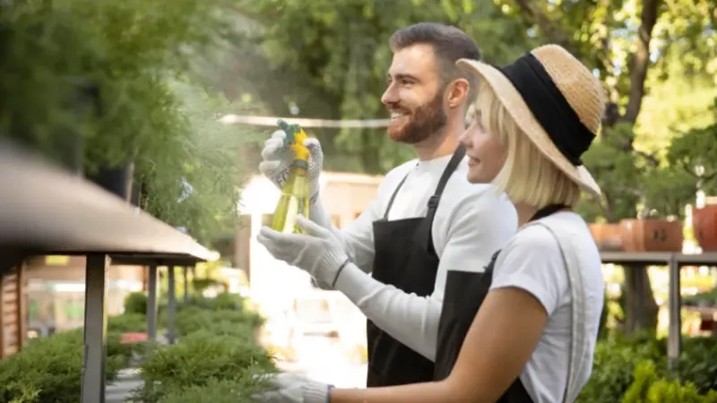 How to Choose Exterior Cleaning Experts for Your Home?