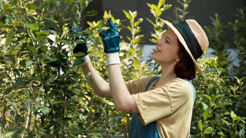 How Professional Tree Care Enhances Your Outdoor Space