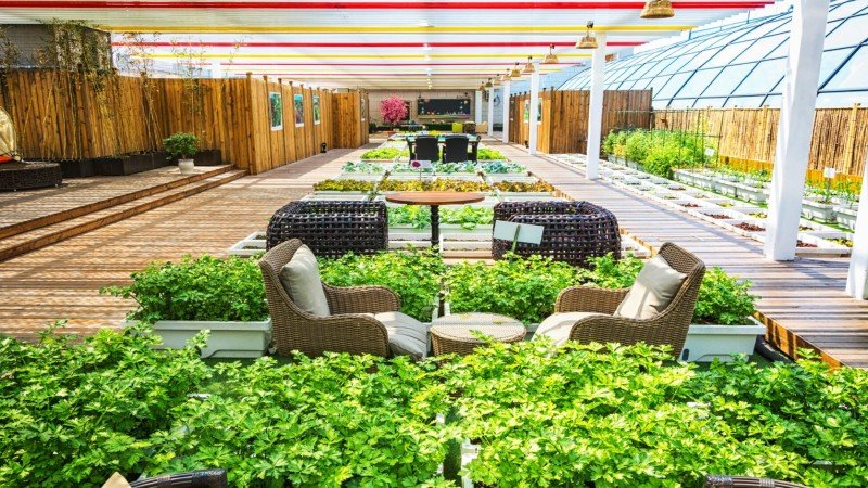 www mygardenandpatio com Guide: Garden Ideas, Patio Design, and Outdoor Tips