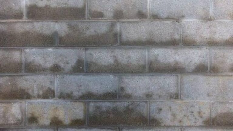 The Outdoor Moisture Problems That Quietly Trigger Basement Cracks