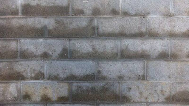 The Outdoor Moisture Problems That Quietly Trigger Basement Cracks
