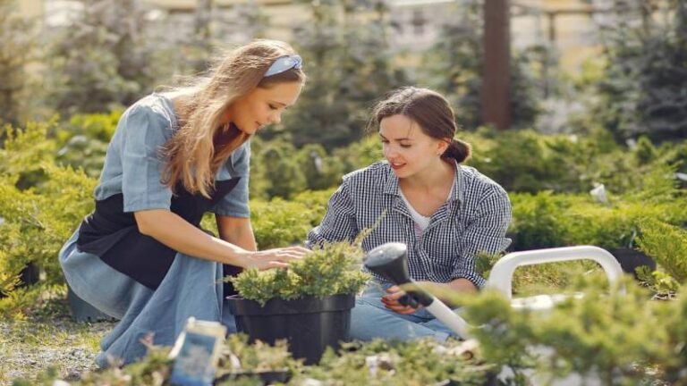 The Hidden Connection Between Outdoor Living and Plumbing Performance