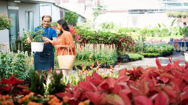 Budget-Friendly Garden Decorating Ideas That Look Stylish All Year Round